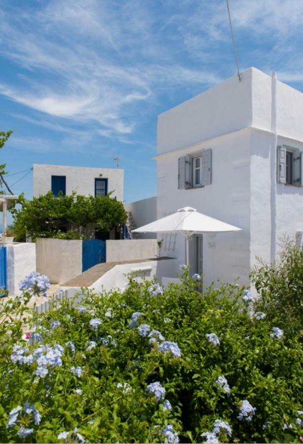 Apollonion House Apartment Аполония Екстериор снимка